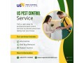 professional-pest-control-service-small-0