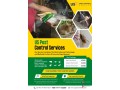 pest-control-service-in-dhaka-small-0