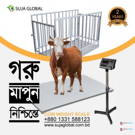 cow-weight-scale-suja-global-cattle-weighing-scale-in-bangladesh-big-0