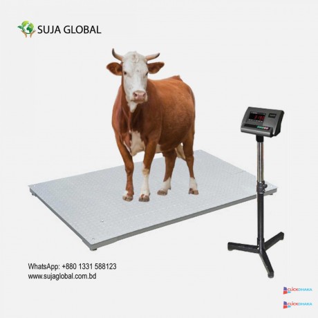 cow-weight-scale-suja-global-cattle-weighing-scale-in-bangladesh-big-1