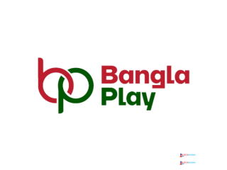 Unleash Your Cricket Insight with the Best Prediction Website in Bangladesh!