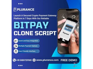 Take Your Business to the Next Level with Our Advanced Bitpay Clone Script