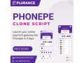 build-a-next-gen-fintech-platform-with-our-phonepe-clone-script-small-0