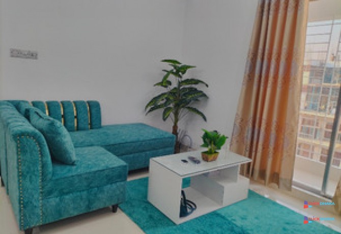 luxury-2-bhk-furnished-apartment-rent-in-bashundhara-ra-big-2