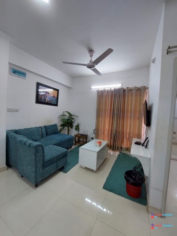 fully-furnished-2-bedroom-apartment-in-bashundhara-ra-big-2