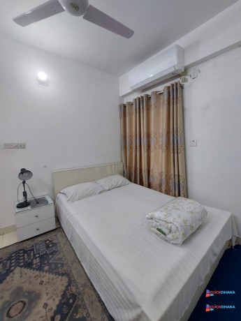fully-furnished-2-bedroom-apartment-in-bashundhara-ra-big-0