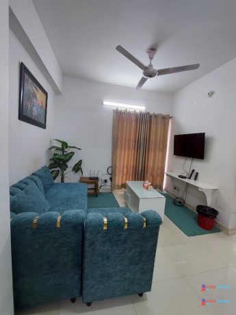 fully-furnished-2-bedroom-apartment-in-bashundhara-ra-big-2