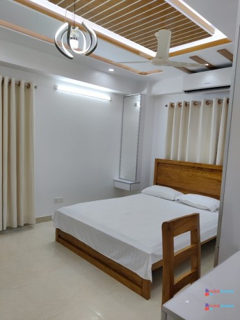 luxurious-3-bedroom-apartment-rent-in-bashundhara-ra-big-0