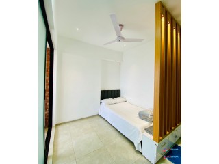 Premium 2 Bhk  Furnished Apartment for Rent in Baridhara