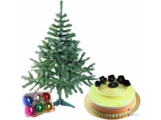 Send Birthday Gift To Dhaka