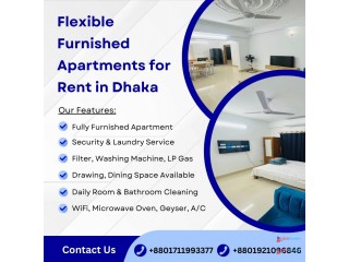 2 Room Furnished Studio Apartment RENT in Bashundhara R/A.