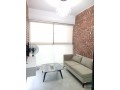 premium-furnished-2-bedroom-flat-for-rent-in-baridhara-small-1