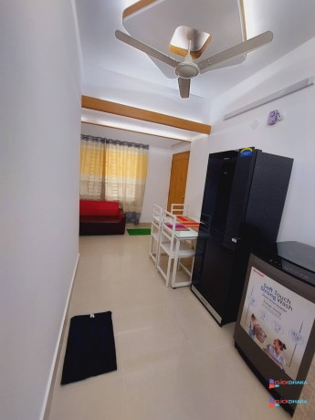 premium-furnished-1bhk-apartment-for-rent-in-bashundhara-ra-big-1