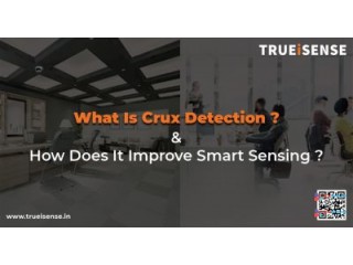 Presence Sensor vs True Presence Sensor in India